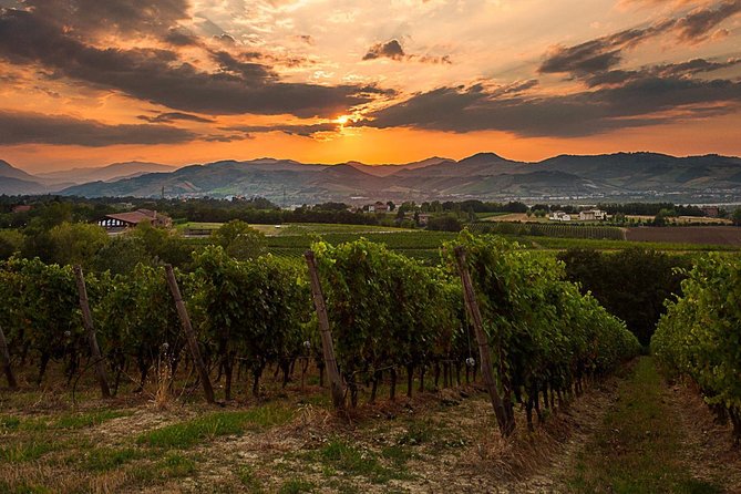 From Parma: Parmigiano,Prosciutto and winery Tour and tasting - Timing and Transport: Yes, You’ll Drive a Lot