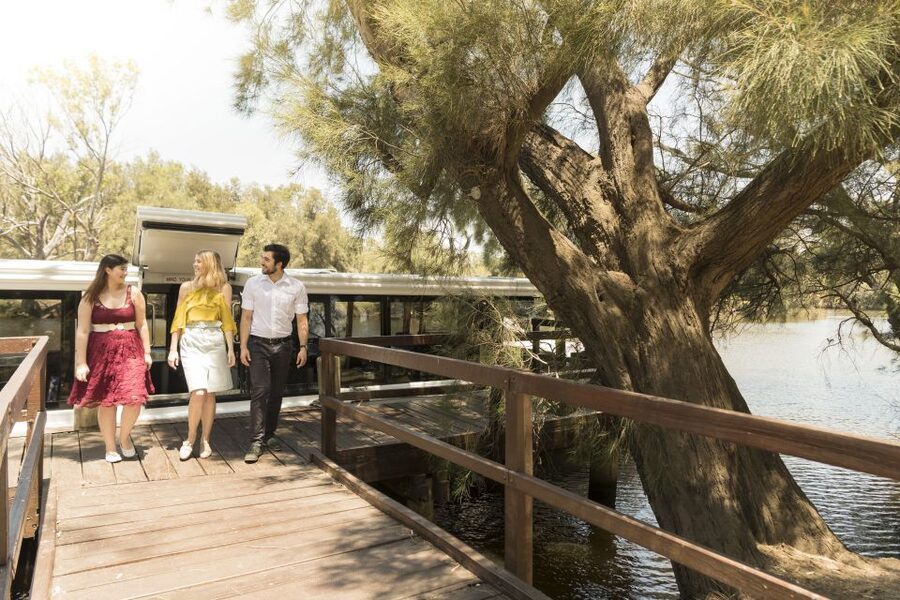 From Perth: Swan Valley Cruise, Winery, Cheese & Lunch - Should you book? My honest take