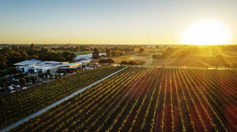 From Perth: Swan Valley Cruise, Winery, Cheese & Lunch - Lunch on the water: share platter comfort with wine included