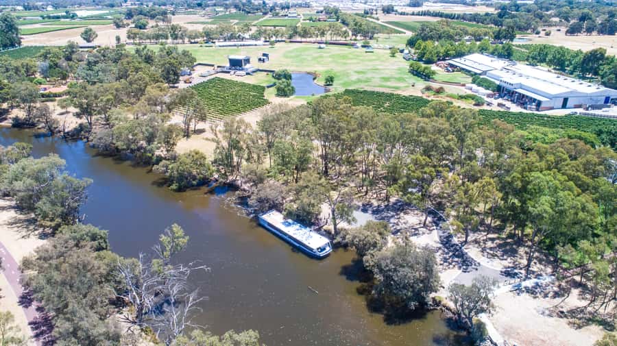 From Perth: Swan Valley Cruise, Winery, Cheese & Lunch - Price and value: is $166 per person fair?