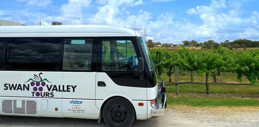 From Perth: Swan Valley Winery & Brewery Day Tour With Lunch - Key things to know before you go