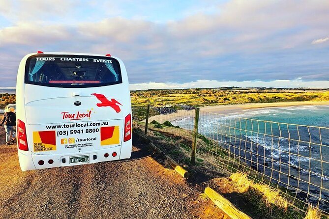 From Phillip Island: Wine and Wildlife Tour with Penguin Parade - Key highlights to look for