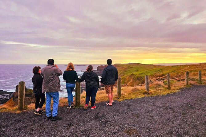 From Phillip Island: Wine and Wildlife Tour with Penguin Parade - The Nobbies Centre at golden hour: where timing matters