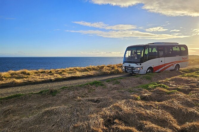 From Phillip Island: Wine and Wildlife Tour with Penguin Parade - Sunset toast, then the Penguin Parade show you actually came for