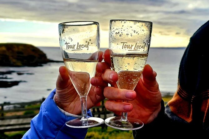 From Phillip Island: Wine and Wildlife Tour with Penguin Parade - Penguin Parade: the small penguins that make the whole tour click