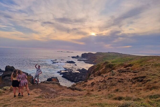 From Phillip Island: Wine and Wildlife Tour with Penguin Parade - Premium coach comfort: little details that reduce friction