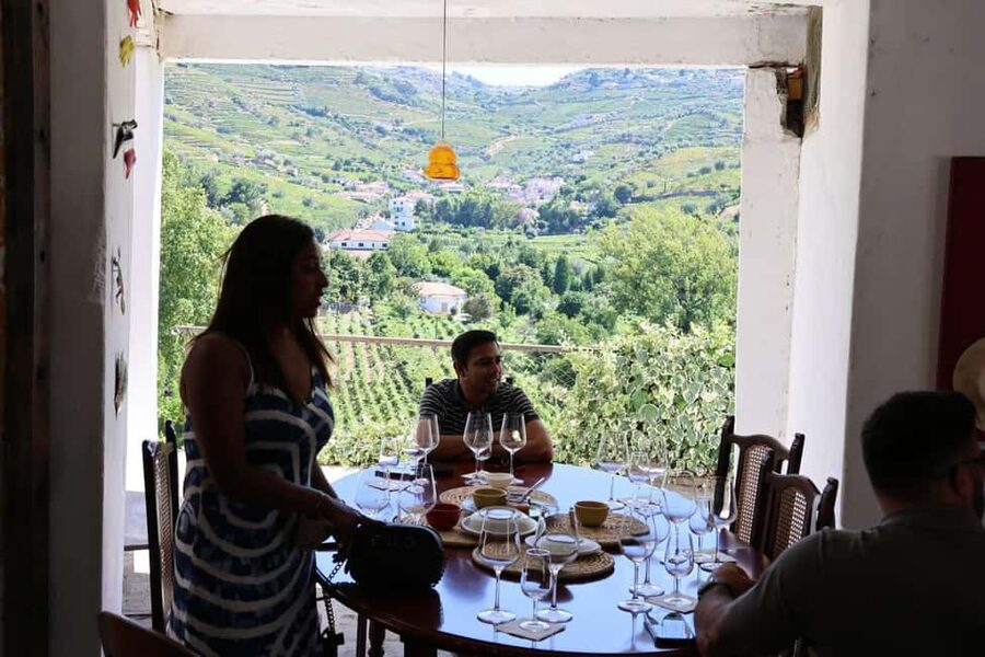 From Porto: 2 Boutique Wineries w/ Winery Lunch & 1-h cruise - The Cambres winery tasting: more wine, more depth, same small-group feel