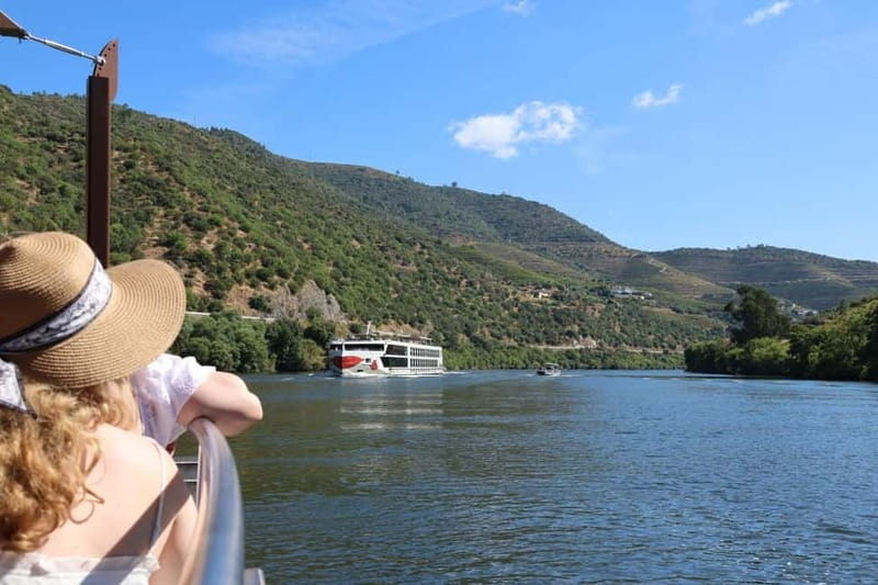 From Porto: 2 Boutique Wineries w/ Winery Lunch & 1-h cruise - Provesende tasting: reds, whites, olive oil, and the human side of wine