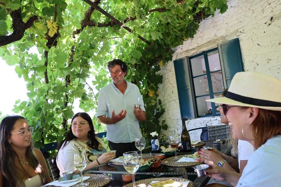 From Porto : Douro Valley sightseeing with 1 Winery Visit - Key highlights at a glance