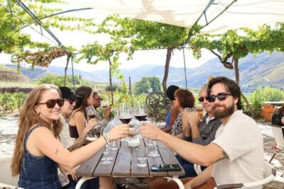 From Porto : Douro Valley sightseeing with 1 Winery Visit - The Porto-to-Douro coach ride that sets the tone