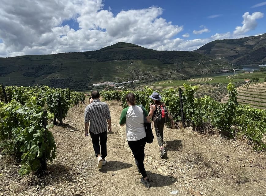 From Porto : Douro Valley sightseeing with 1 Winery Visit - The drive back: don’t underestimate the long day