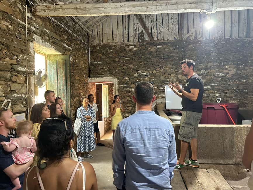 From Porto : Douro Valley sightseeing with 1 Winery Visit - Pacing and photos: what to expect from the day’s rhythm