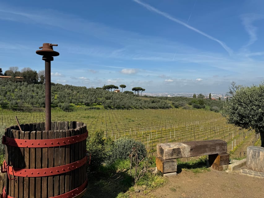 From Rome: Frascati Wine Tour with Lunch and Vineyard tour - How the Frascati Half-Day Works From Rome (Train to Winery Meet-Up)