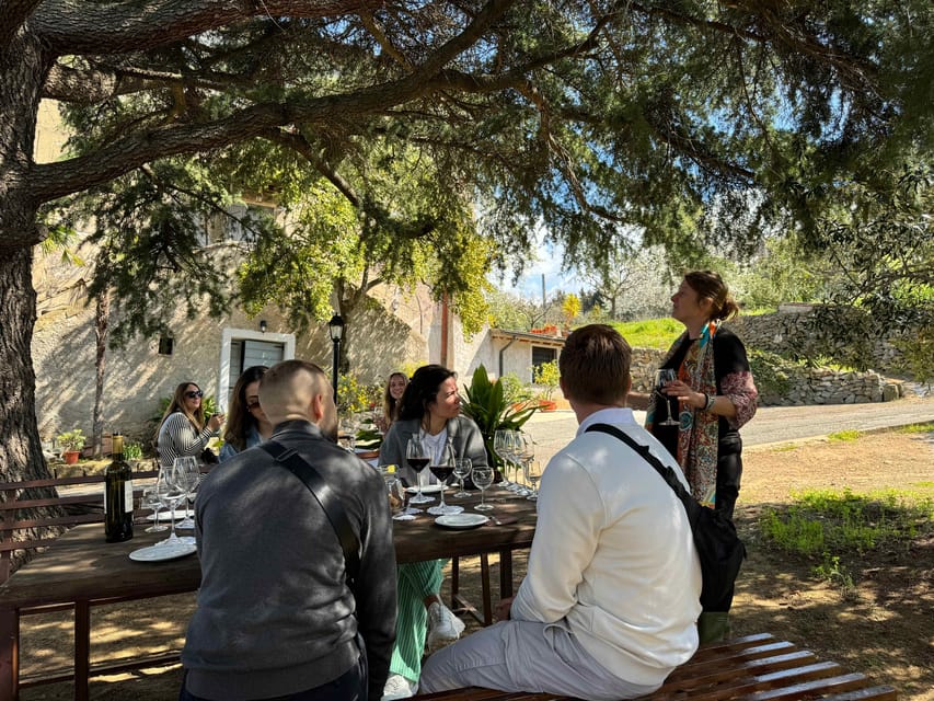 From Rome: Frascati Wine Tour with Lunch and Vineyard tour - Historic Frascati on Foot: Local Guide, Shops, and Small-Town Stops