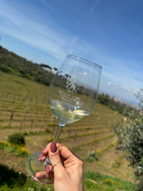 From Rome: Frascati Wine Tour with Lunch and Vineyard tour - Price and Value: What $123.48 Buys in a Small Group