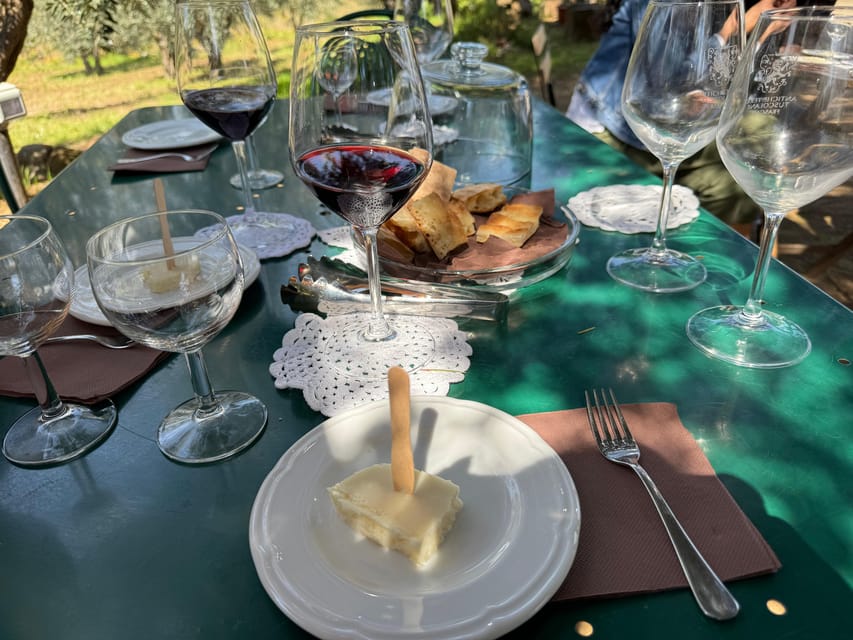From Rome: Frascati Wine Tour with Lunch and Vineyard tour - Who This Tour Fits Best (And Who Might Prefer Something Else)