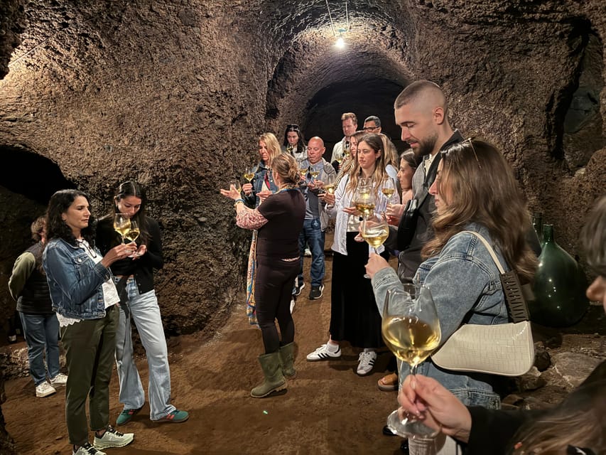 From Rome: Frascati Wine Tour with Lunch and Vineyard tour - Tips to Make the Day Smoother