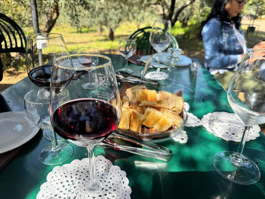 From Rome: Frascati Wine Tour with Lunch and Vineyard tour - Family Winery Tour: Vineyard, 16th-Century Farmhouse, and Ancient Wine Cave