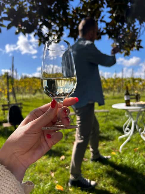 From Rome: Pasta Masterclass & Wine Tour in the Vineyard - The ending in Frascati: town time and live music