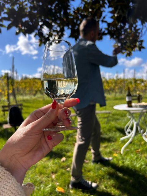 From Rome: Pasta Masterclass & Wine Tour in the Vineyard - Price and value: is $99 worth it?