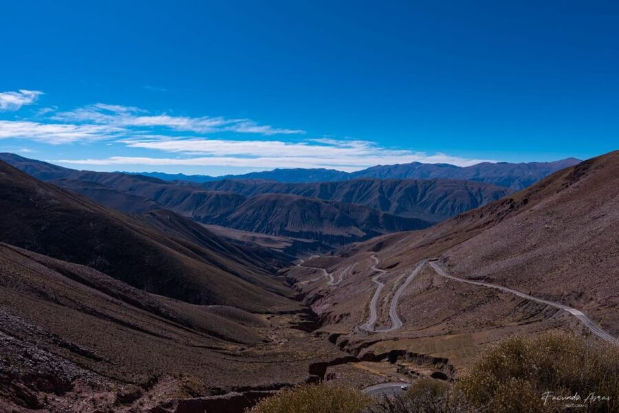 From Salta: Local Landscape, Winery, and Culture Tour - Price and Value: Is $130 Worth It?