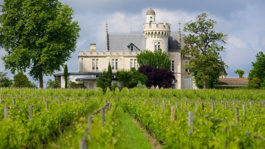 From San Sebastián: Bordeaux & Winery Private Guided Tour - A 12-hour Wine Road Trip from San Sebastián to Bordeaux