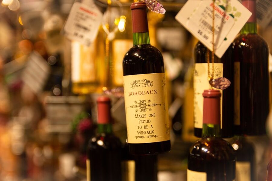 From San Sebastián: Bordeaux & Winery Private Guided Tour - Practical tips so the day feels smooth