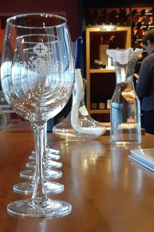From Santiago: Isla Negra, Pablo Neruda Museum & Winery Tour - Should you book? My take