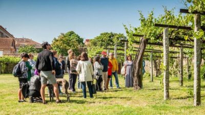 From Santiago: Tour to Rias Baixas with Boat Trip and Winery - O Grove: a real village break with time to breathe