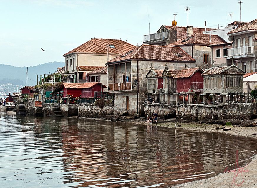From Santiago: Tour to Rias Baixas with Boat Trip and Winery - Albariño vineyard time: what the tasting actually teaches