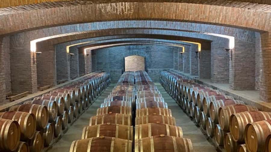 From Santiago: Undurraga Winery Tour with Tasting - Quick hits before you go