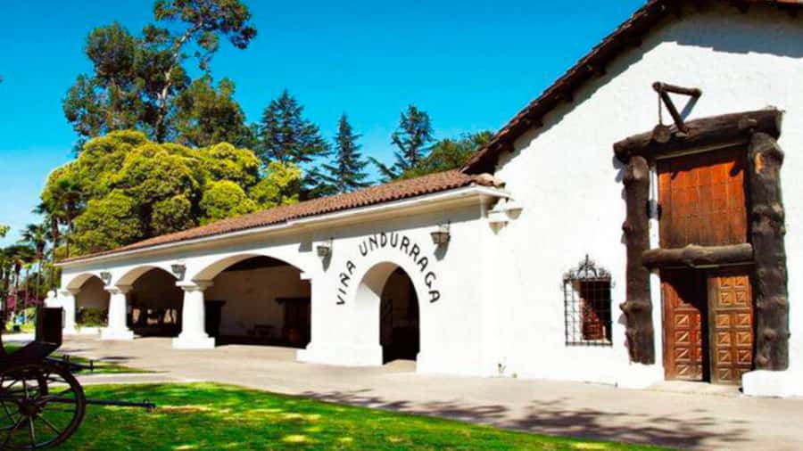 From Santiago: Undurraga Winery Tour with Tasting - The Aliwen corner and the Mapuche worldview pause
