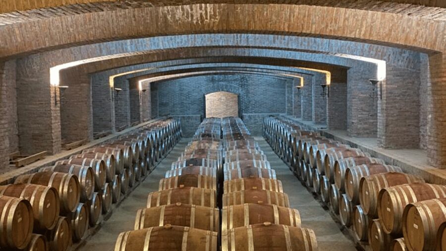 From Santiago: Undurraga Winery Tour with Tasting - Vineyards and a garden of varieties: connect the vines to the glass