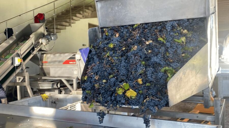 From Santiago: Undurraga Winery Tour with Tasting - Price and value: is $86 worth it?