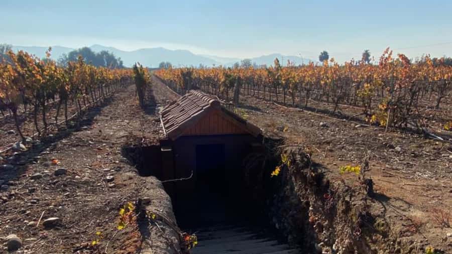 From Santiago: Undurraga Winery Tour with Tasting - The Santa Ana estate in Maipo Valley: more than a stop on a bus
