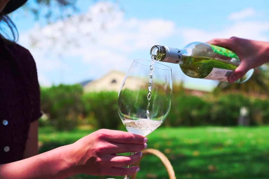 From Santiago: Vineyard, Valparaíso, and Viña del Mar Tour - Key things to watch for on this Santiago → Valparaiso → Viña del Mar day