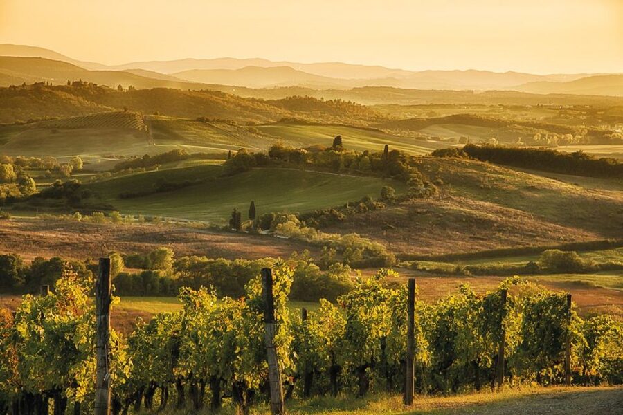 From Siena: Day Tour in a Vintage Fiat 500 with Winery - Chianti Hills Scenic Drive: What You’re Actually Doing