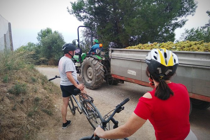 From Sitges: Bike Tour and Winery Visit with Free Hotel Pick Up. - How the Wine Stops Work (and What the 5-Euros Extra Means)