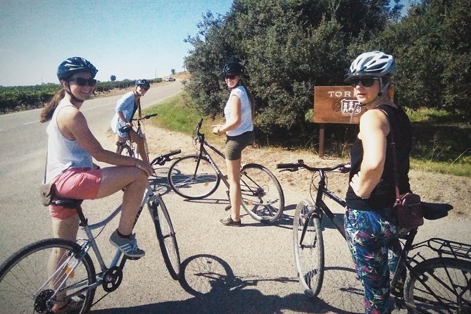 From Sitges: Bike Tour and Winery Visit with Free Hotel Pick Up. - The Cycling Experience: Easy Ride, Small Hill, Good Views