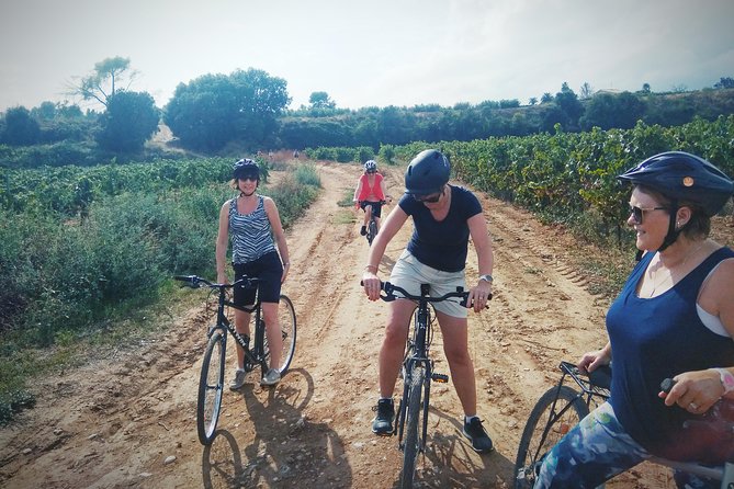 From Sitges: Bike Tour and Winery Visit with Free Hotel Pick Up. - Price and Value: Is $111.26 a Good Deal for 5 Hours?