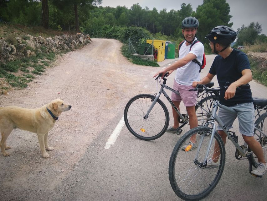 From Sitges: Cycling Tour with Winery visit and Tasting - Value check: is $100 reasonable for a 5-hour day?