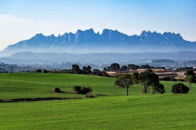 From Sitges: Montserrat, Lunch and Winery, Free Hotel Pickup - 90 Minutes of Free Time at Montserrat: Use It Wisely