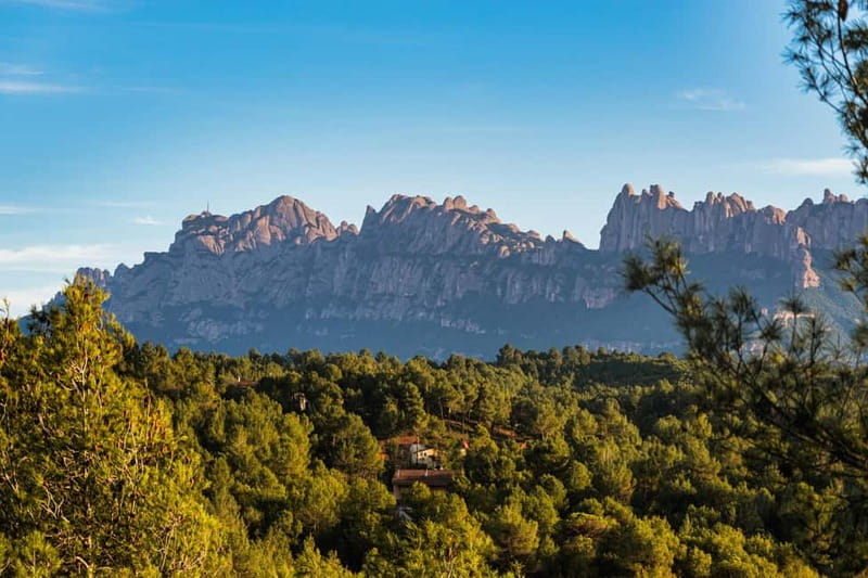From Sitges: Montserrat, Lunch and Winery, Free Hotel Pickup - El Penedès Lunch: A 3-Course Meal with Bottomless Wine