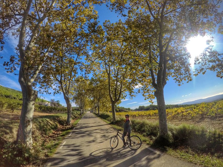From Sitges: Paella Masterclass, Bike Ride and Winery Visit - What you’ll do after eating your paella (and why that matters)
