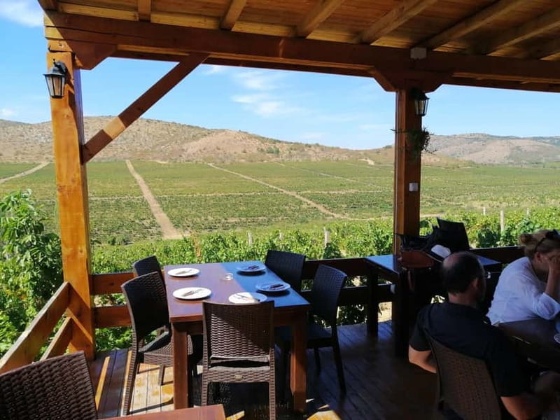 From Skopje: Private Tour of Sopot Winery with Lunch - Key Things I’d Book This For (and Know Before You Go)