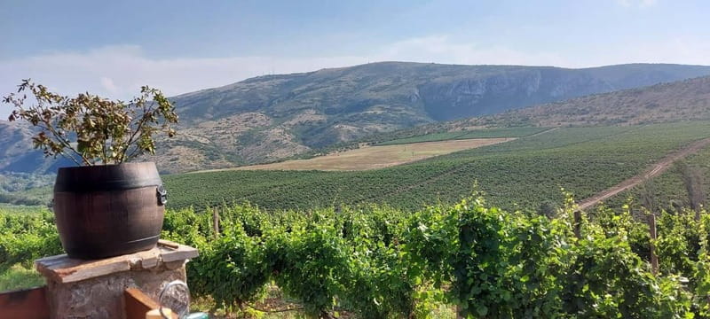 From Skopje: Private Tour of Sopot Winery with Lunch - From Skopje To Chateau Sopot: The 5-Hour Wine Day Plan