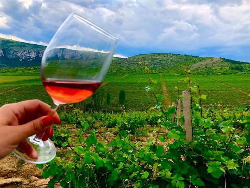 From Skopje: Private Tour of Sopot Winery with Lunch - The Short Winery Tour: What You’ll Actually See