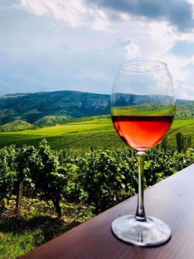 From Skopje: Private Tour of Sopot Winery with Lunch - Chateau Sopot: Modern Wine-Making Meets Real Vineyard Scale