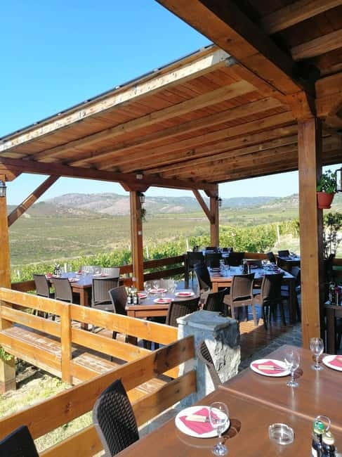From Skopje: Private Tour of Sopot Winery with Lunch - Vineyards and Views: The Part You’ll Feel Even Without a Glass in Hand