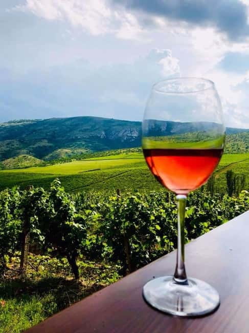 From Skopje: Private Tour of Sopot Winery with Lunch - Chateau Sopot: Modern Wine-Making Meets Real Vineyard Scale